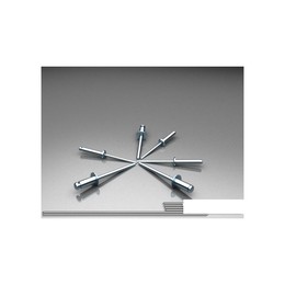Заклепка комбинированная RCAS 4,8*12